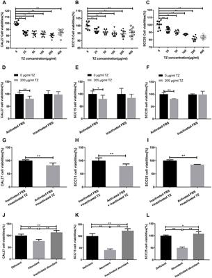 Circulating Natural Autoantibodies to HER2-Derived Peptides Performed Antitumor Effects on Oral Squamous Cell Carcinoma